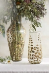 Terrain Pressed Ferns Glass Vase In Transparent