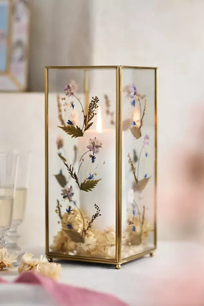 Terrain Pressed Floral Hurricane In Transparent