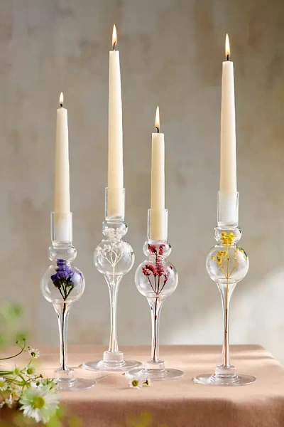 Terrain Pressed Floral Taper Holder In Transparent