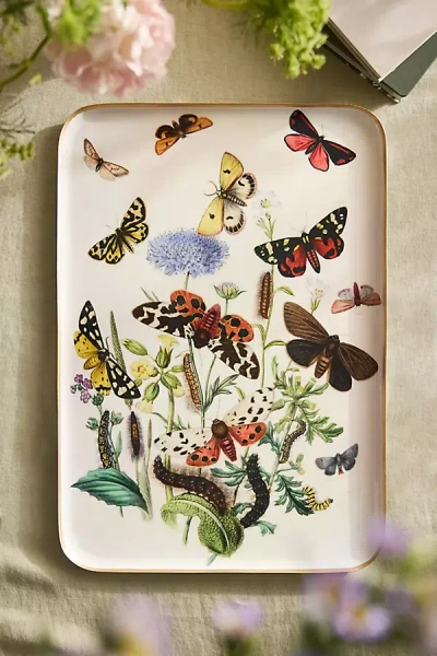Terrain Printed Archival Tray, Extra Large