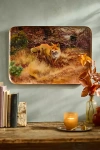 Terrain Printed Archival Tray, Extra Large In Brown