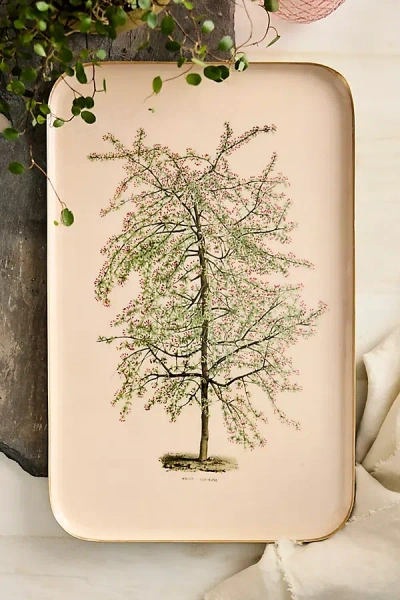 Terrain Printed Archival Tray, Large