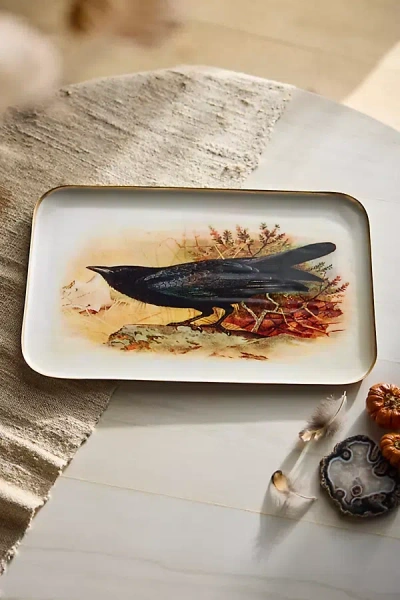 Terrain Printed Archival Tray, Large