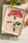 Terrain Printed Archival Tray, Small