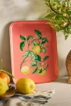 Terrain Printed Archival Tray, Small