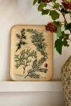 Terrain Printed Archival Tray, Small In Gold