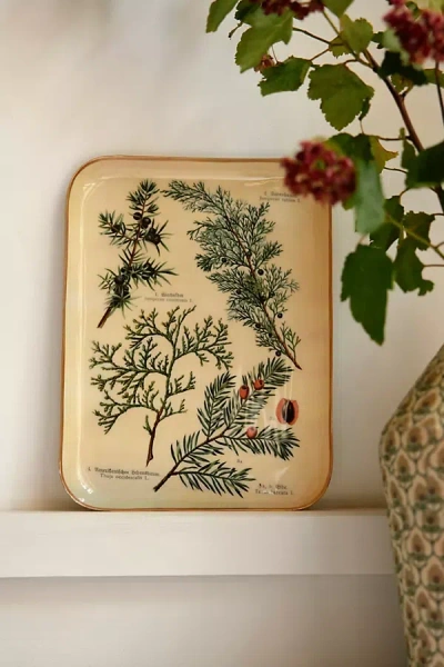Terrain Printed Archival Tray, Small In Gold