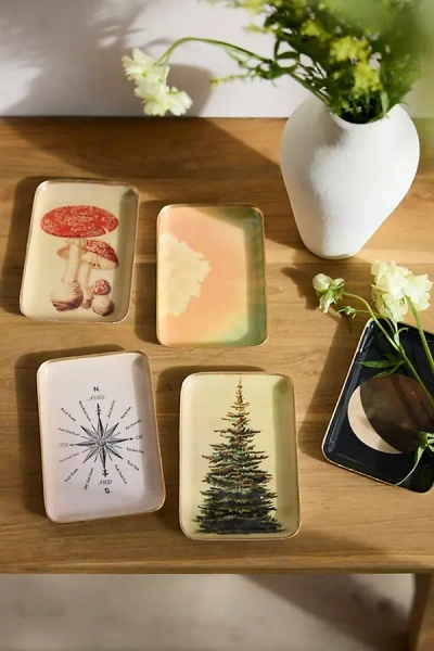 Terrain Printed Archival Tray, Extra Small