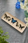 Terrain Printed Archival Tray, Medium