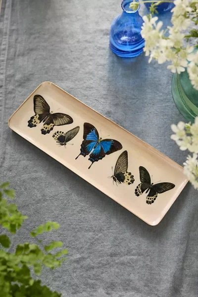 Terrain Printed Archival Tray, Medium