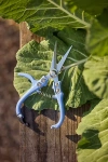 Terrain Pruner Snips