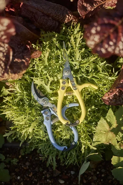 Terrain Pruner Snips