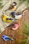 Terrain Puffed Enamel Bird Ornaments, Set Of 5 In Multi