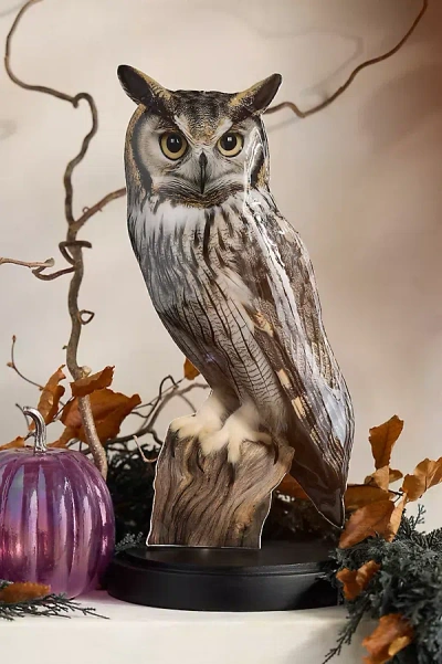 Terrain Puffed Enamel Owl Decorative Object In Animal Print