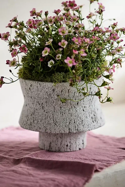 Terrain Pumice Cinched Planter