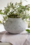 Terrain Pumice Jar Planter