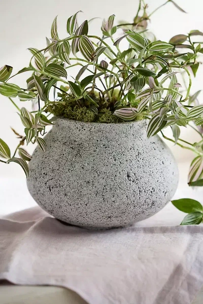 Terrain Pumice Jar Planter