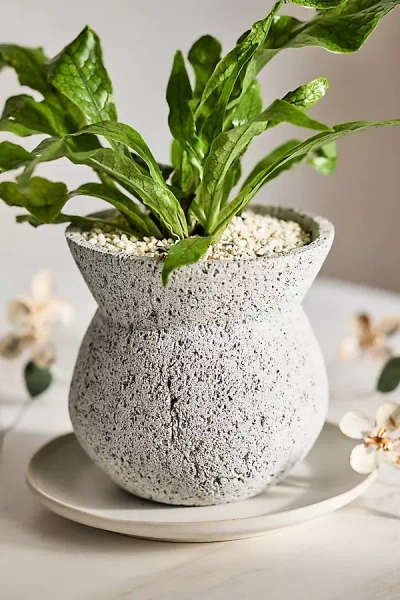 Terrain Pumice Pinched Rim Planter, Tall