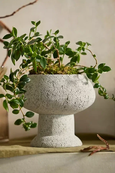 Terrain Pumice Urn Planter