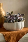 Terrain Pumpkin Stoneware Bowl Planter