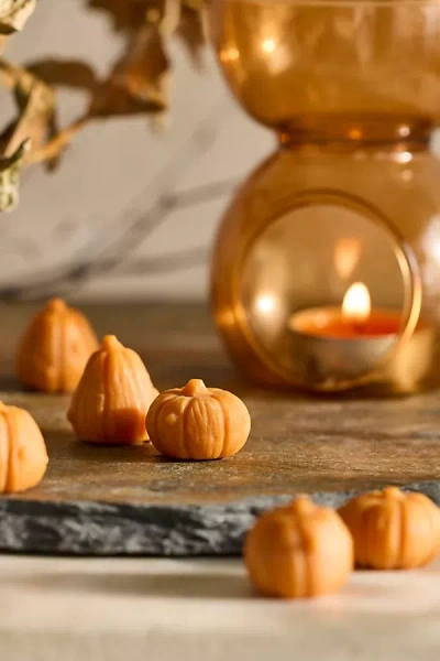 Terrain Pumpkin Wax Melts, Set Of 6
