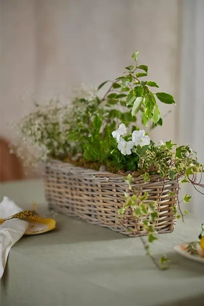 Terrain Rattan Trough Basket Planter In Green