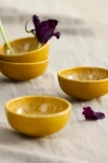 Terrain Reactive Glaze Tapas Bowls, Set Of 4