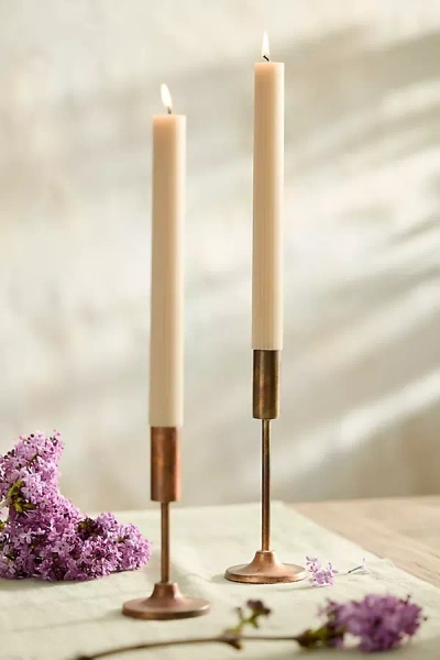 Terrain Ribbed Taper Candles, Set Of 2 In Neutral