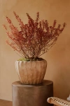 TERRAIN RIBBED TERRACOTTA LOW TAPER POT