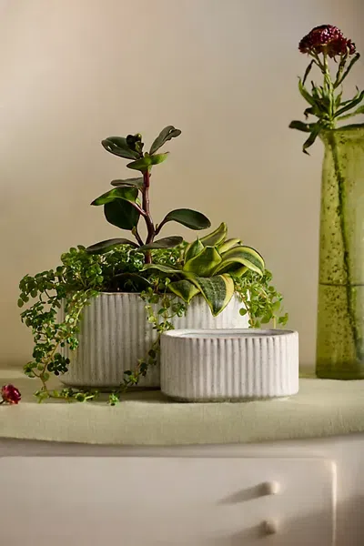 Terrain Ridged Oval Ceramic Planter In Multi