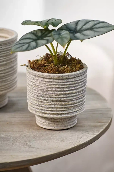 Terrain Ridged Texture Footed Planter, 4.5" In Brown