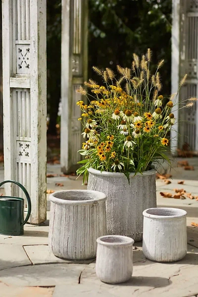 Terrain Roll Top Ceramic Planter