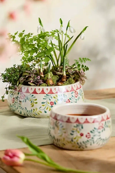 Terrain Rose Vine Terracotta Bowl Planter In Multi