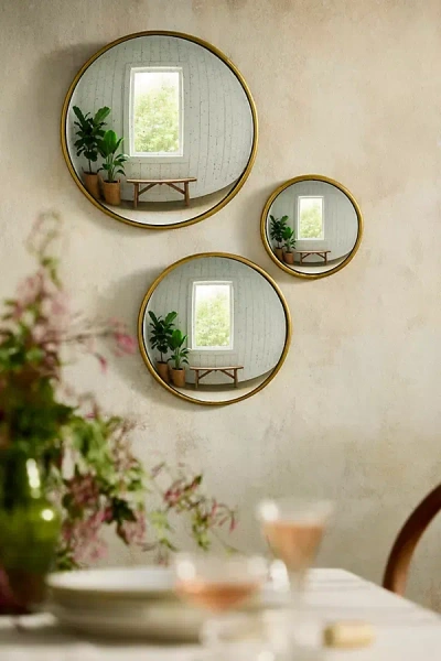Terrain Round Convex Mirror