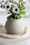 Terrain Round Rim Terracotta Jar Planter