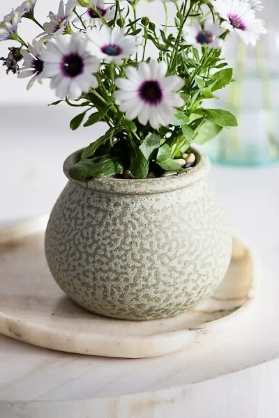 Terrain Round Rim Terracotta Jar Planter In Gray