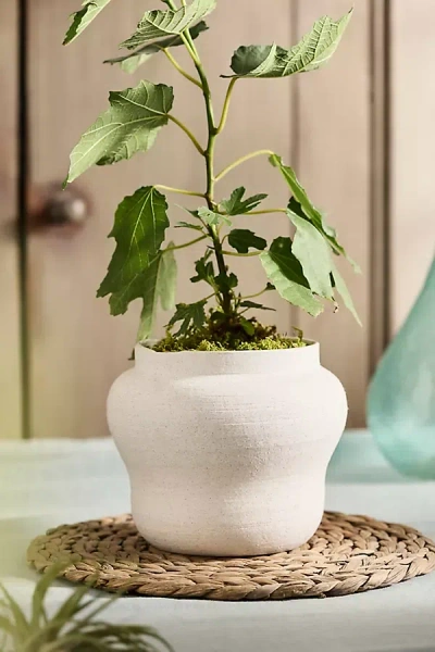 Terrain Round Shoulder Ceramic Jar Planter In White