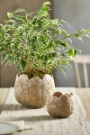 Terrain Rounded Leaves Ceramic Planter