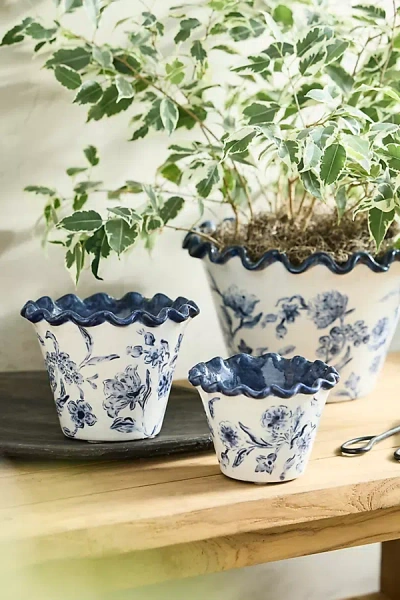 Terrain Ruffled Blue Lace Terracotta Planter