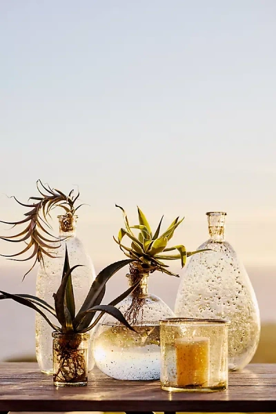 Terrain Rustic Bubble Glass Vase