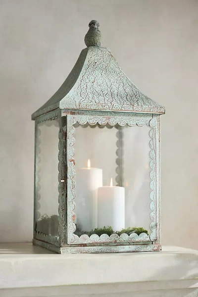 Terrain Scalloped Iron Lantern In Green