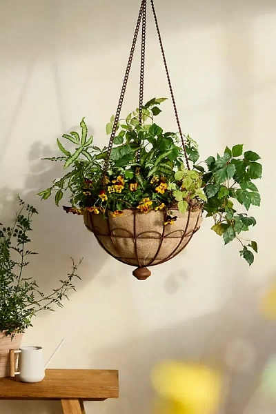 Terrain Scalloped Iron Wire Hanging Basket