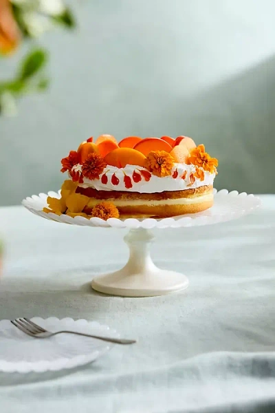 Terrain Scalloped Pearly Glass Cake Stand In White
