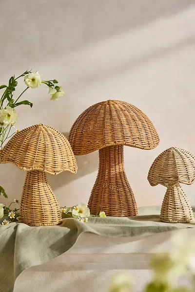Terrain Scalloped Wicker Mushroom