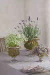 Terrain Scalloped Wire Urn Planter