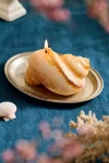Terrain Seashell Candle