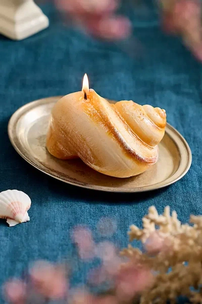 Terrain Seashell Candle