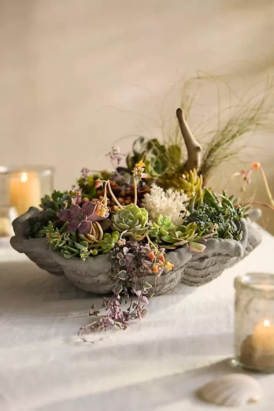 Terrain Seashell Stone Planter
