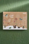 Terrain Seed Bomb Advent Calendar