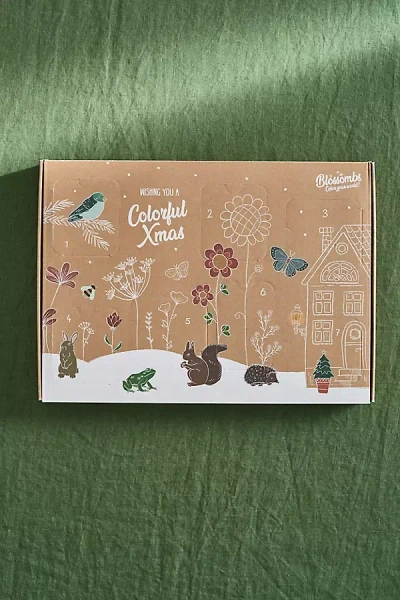 Terrain Seed Bomb Advent Calendar
